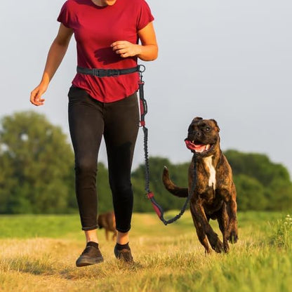 Mile High Life Hands Free Leash, Waist Leash for Dog Running Training and Jogging, Adjustable Belt with Double Padded Handle, Reflective Bungee for Medium Large Dogs (Red, 7FT) - Image 2