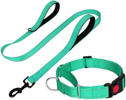 FunTags Martingale Dog Collar and Leash Set for Small Dogs, Locking Buckle by FUNSTARTSHERE