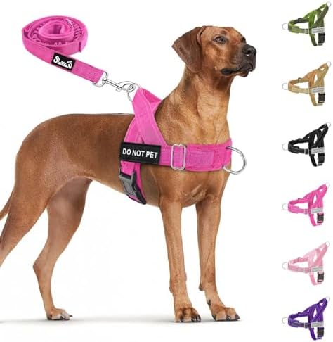 SlowTon No Pull Dog Harness and Leash Set - Heavy Duty, Soft Padded by SlowTon