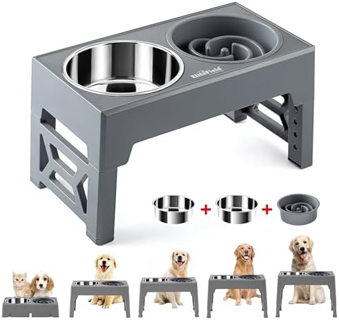 EliteField Elevated Dog Bowls, 2 Stainless Steel Bowls (2-Year Warranty) by EliteField
