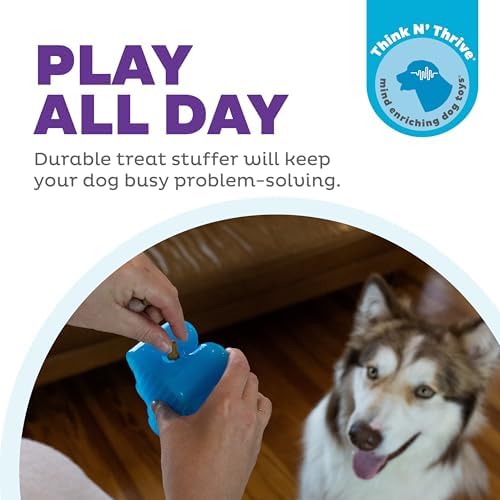 Outward Hound Gummiez Bear Dog Toy & Treat Stuffer, 4.7″ x 3″ Blue Raspberry-Scent Interactive Chew for Dogs, Promote Healthy Teeth, Gums & Mental Enrichment, Reduce Boredom & Support Dental Health - Image 2