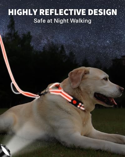 FunTags Martingale Dog Collar and Leash Set for Medium Dogs, Locking Buckle - Image 5