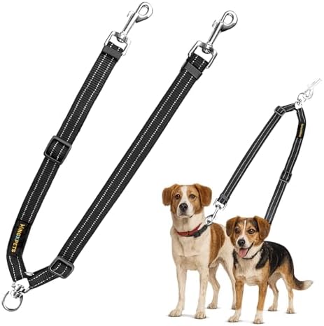MingXpet Double Dog Leash for Two Dogs, No Pull Dog Leash, 360° Swivel No Tangle for Medium Dogs Walking & Training, Shock Absorbing Reflective Bungee, Black by MingXpets