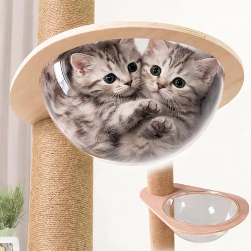Japard Space Clear Capsule Dome Cover, Cat Hammock, Cat Tree Replacement, Pet Bed with Wooden Frame Holder, 11.6 inches, Kitty Sleeping by Japard