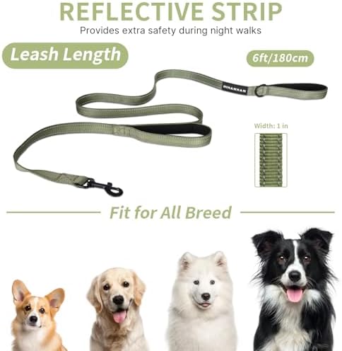 Reflective Dog Leash with Double Handle, Dog Leash 6 FT Long, Supports Medium, and Large Dogs, Heavy Duty for Walking, Running, and Training, Green - Image 5