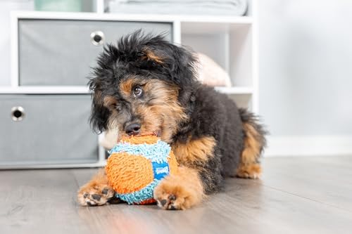 Chuckit! Indoor Fetch Ball Dog Toy, 4.75in, Orange and Blue - Image 2