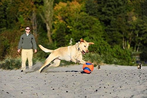 Chuckit! Kick Fetch Ball Dog Toy, Small (6 Inch) - Image 5