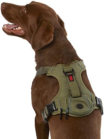 KONG Ultra Durable Waste Bag Harness (Medium, Green) by KONG