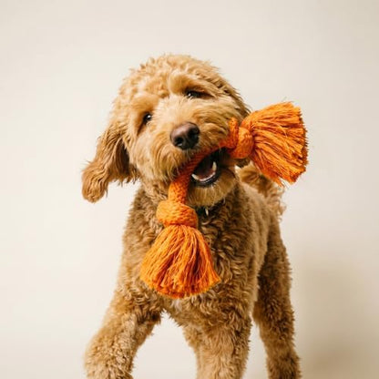 Playology Tug Rope Dog Toys for Medium Dogs - Medium, Cheddar Cheese Scent - Image 3
