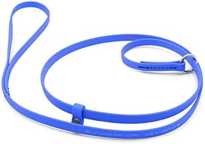 Jelly Pet Grooming Lead for Dogs | Great for Kennels, Veterinarians and Dog Grooming Salons | Biothane Leash - Easy to Clean, Waterproof & Durable Noose Loop | Made in the USA | 5/8" x 6' Royal Blue by GroomersPro