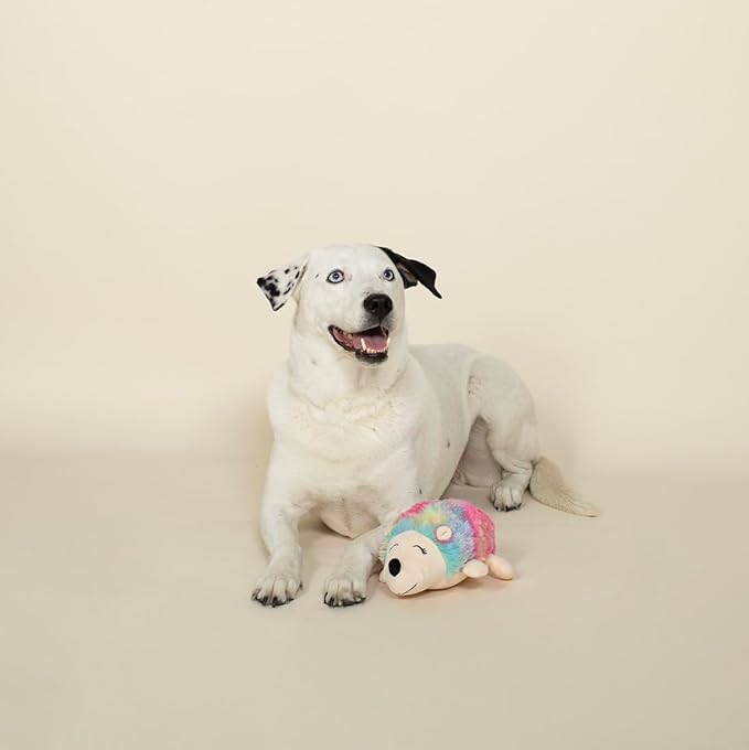 FRINGE STUDIO Rainbow Hedgehog-Plush Dog Toy (289356), Multicolor