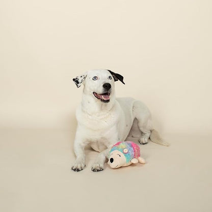 FRINGE STUDIO Rainbow Hedgehog-Plush Dog Toy (289356), Multicolor