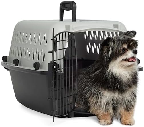 EveryYay by Petco Portable Plastic Pet Kennel 19" L X 13" W X 11" H Grey