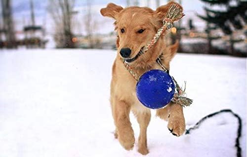Jolly Pets Romp-N-Roll Rope & Ball Dog Toy, 6 in Medium, Blue - Image 2