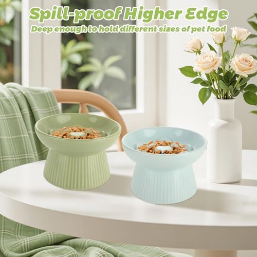 ABuff 2 Pack Raised Cat Slow Feeder, Elevated Slow Feed Dish for Cats and Small Dogs, Ceramic Slow Feeder Cat Bowl, No Spill High Edge for Dry/Wet Food(Blue, Green) - Image 6
