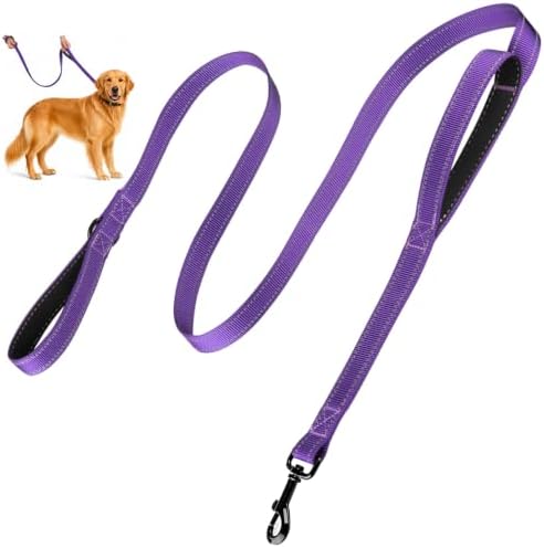 Dual-Handle Dog Leash 6FT, Heavy Duty Nylon with Reflective Threads,Purple by HOSCAPE