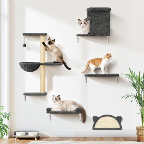 5-in-1 Cat Wall Shelves, Solid Wood Cat Wall Furniture Set for Indoor Cats by PLEKER