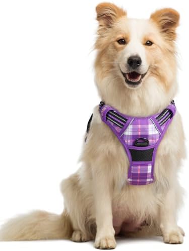 rabbitgoo Dog Harness, No Pull Medium Sized with 2 Leash Clips, Pet Vest by rabbitgoo