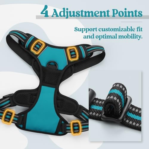rabbitgoo Dog Harness, No Pull Medium Sized with 2 Leash Clips, Pet Vest - Image 4