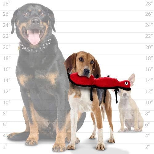 TUFFY - World's Tuffest Soft Dog Toy - Desert - Multiple Layers. Made Durable, Strong & Tough. Interactive Play (Tug, Toss & Fetch). Machine Washable & Floats (Ant, Large 2 Pack)