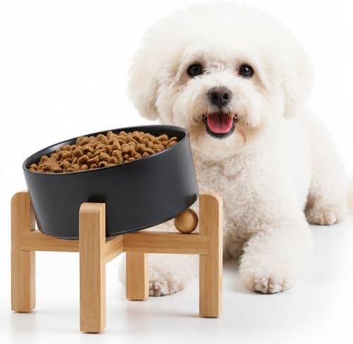 Petygooing Black Raised/Elevated 15°Slanted Ceramic Dog Bowl for Small Breeds,Tilted Anti Slip Pet Feeding Bowl,Food Water Dish with Stand for Cats and Small Dogs Puppy 13.5 OZ (5.1In /1.7 Cups) by PetygooingforYOURLOVEDPET