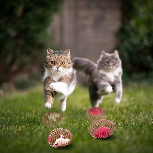 Jecery 5 Pcs Cat Toys Spring,Mouse,Pink - Image 6