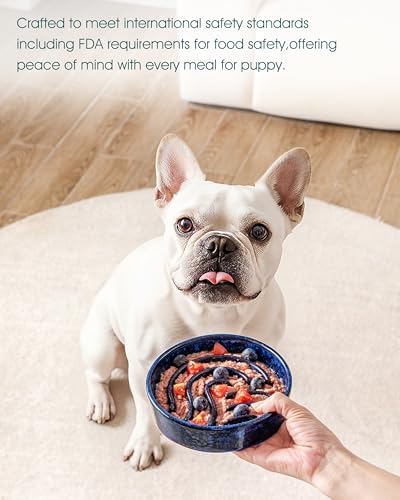 vancasso Slow Feeder Dog Bowl, 0.6 Cup Ceramic Slow Feeding Food Dish for Small Breed, Puzzle Dog Food Bowl for Fast Eater, Blue - Image 6