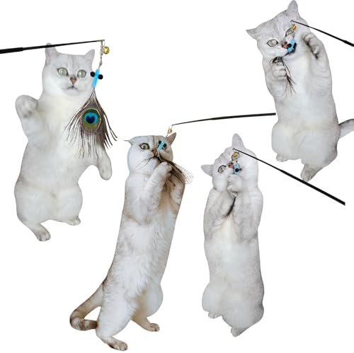 miwoowim 10PCS Retractable Cat Wand Toy with Natural Feather Insect Refills - Image 5