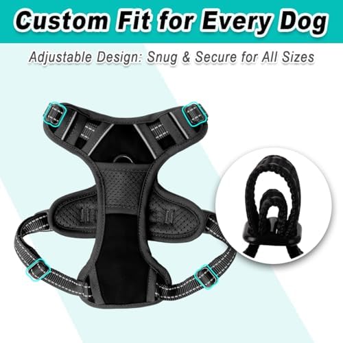 BARKBAY Dog Harness for Small Sized Dog No Pull 2 Leash Clips Dog Vest - Image 6