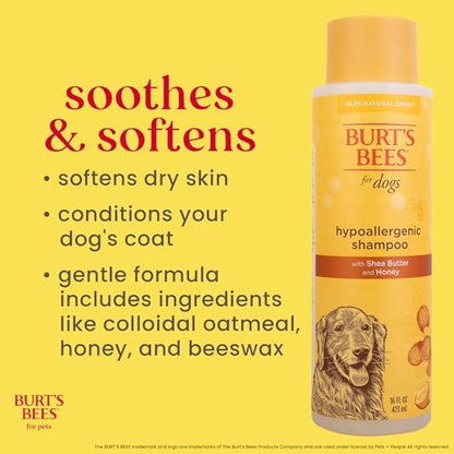 Burts Bees for Pets Hypoallergenic Dog Shampoo, Shea Butter Honey, 16 Fl Oz - Image 3