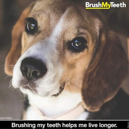 Brush My Teeth Medium Dog Toothbrush - Rounded Brush Head -Soft Flexible Bristles- for Safe and Gentle Brushing for Doggie, Any Medium Breed or Puppy, Daily Brushing Adds Years of Healthy Life - Image 7