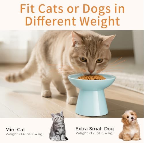 LoeJan Ceramic Cat Bowls, Elevated Cat Food and Water Bowls Set, Extra Wide and Raised Ceramic Bowls, Anti-Vomit Whisker-Free Pressure Cat Feeder for Kittens to Adult Cats - Image 6