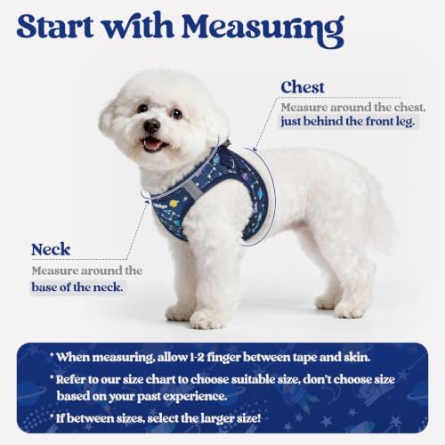 rabbitgoo Dog Harness Small Sized and Leash Set, Step-in Puppy Pet Vest - Image 2