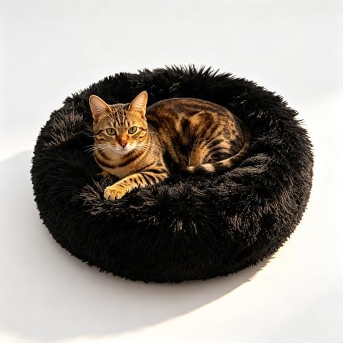 Cat Beds for Indoor Cats - Cat Bed Washable 20/24 inches, Dog Beds for Small Medium Dogs, Anti Anxiety Round Fluffy Plush Faux Fur Cat Bed, Thick Bottom (Dark, Medium) by Unknown