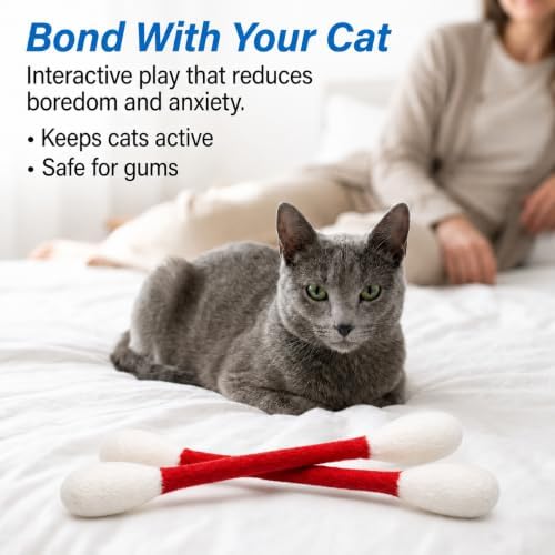 Glaciart One XXL Swabs Cat Toys with Catnip - 2 Pk | Durable for Chew, Cute Cat Toys Interactive Kitty for Boredom, Exercise, & Play | Filled w/Organic Catnip for Anxiety & as Digestive Aid - Image 5