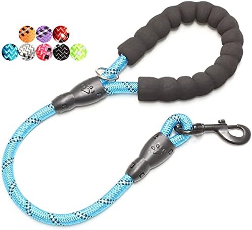 BAAPET 2/4/5/6 FT Dog Leash with Comfortable Padded Handle and Highly Reflective Threads for Small Medium and Large Dogs (2FT-1/2'', Blue) by BAAPET