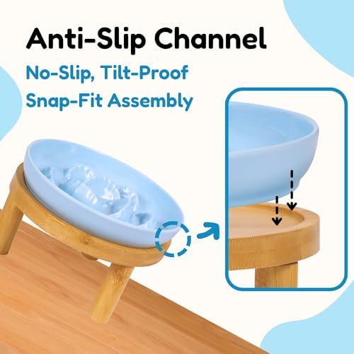 Slow Feeder Bowl, 6.3″ Elevated Cat Bowl with Stand, Melamine Wide Shallow Food Bowl, Whisker-Friendly Raised Plate, Wet Food Feeder for Slow Eating (Blue) - Image 5
