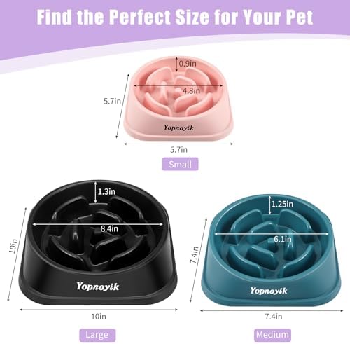 2 Pack Slow Feeder Dog Bowls for Medium Dogs & Cats - Image 2