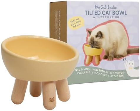 The Cat Ladies Tilted Ceramic Cat Bowl - Elevated Food Bowls Ceramic Pet Bowl - Raised Ceramics Bowls - Elevated & Tilted Design for Comfortable Eating - Dishwasher Safe - Wide Opening by TheCatLadies