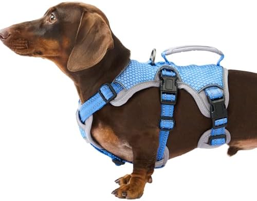 Huntboo Escape Proof Dog Harness, Dachshund Harness, Reflective Dog Harness with Handle, Durable,Adjustable Vest for Small Medium Large Dogs Walking, Training, and Running Gear (Sea Blue,S) by Huntboo