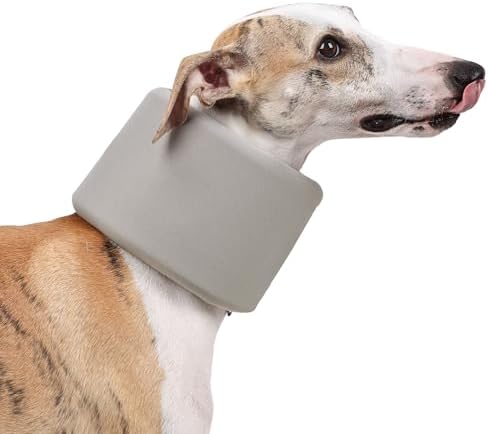 Dog Neck Brace for Pet After Surgery Recovery Adjustable Breathable Neck Cervical Cone，Dog Cone Collar Recovery Head Cone for Small Medium Dogs Puppies Kittens with Spinal IVDD Lssues (Gray,L) by Unknown