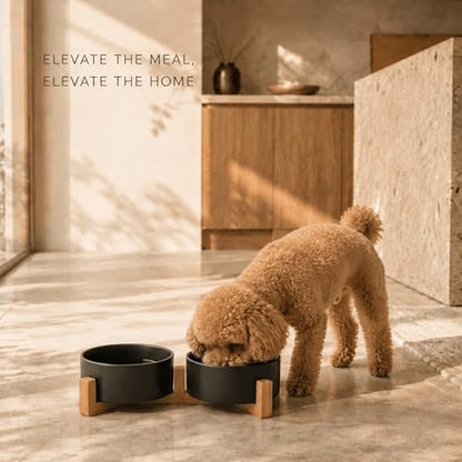 SPUNKYJUNKY Ceramic Dog and Cat Bowl Set with Wooden Stand, Modern Cute Weighted Food Water Set for Small Size Dogs (13.5OZ) & Medium Sized Dogs (28.7OZ) & Cats (1.7 Cups, 2 × Black) - Image 2