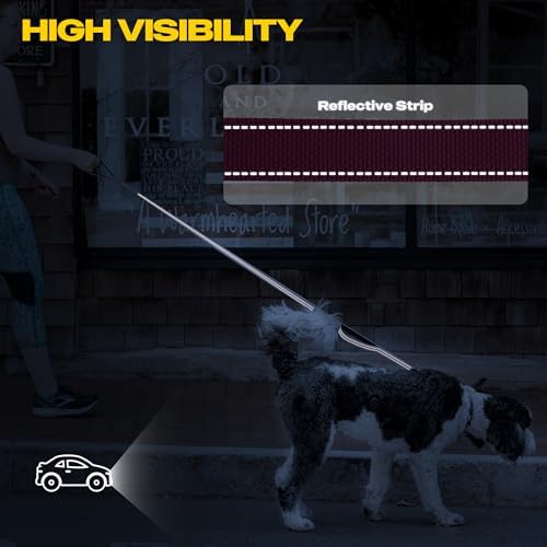 Fida 10 FT Heavy Duty Dog Leash, Dual Padded Handles for Medium Large Dogs - Image 5
