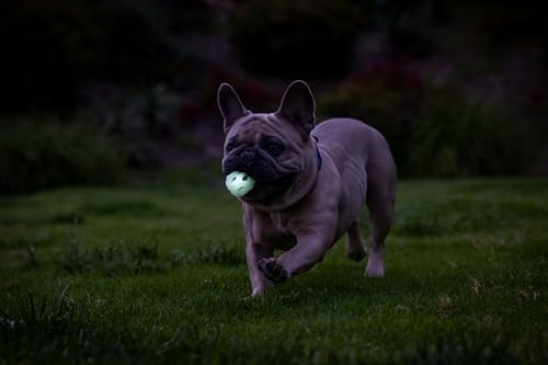 Chuckit! Air Glow Fetch Ball Dog Toy, Small 2in 2 Pack - Image 5