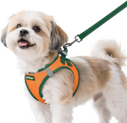 rabbitgoo Dog Harness Small Sized and Leash Set, Step in Soft Vest by rabbitgoo