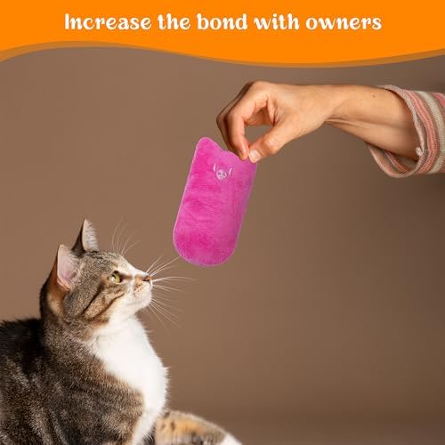 Seyezo Cat Toys for Indoor Cats, Multi Color, 5 Pack - Image 7