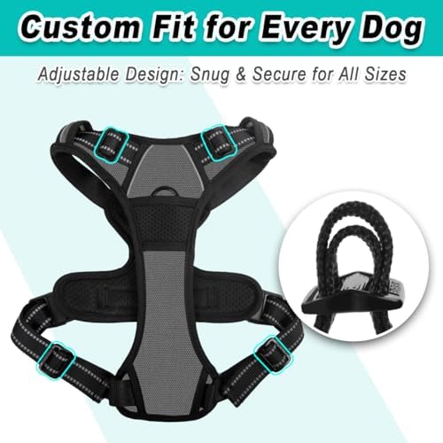 BARKBAY Dog Harness for Large Dog No Pull 2 Leash Clips Dog Vest - Image 6