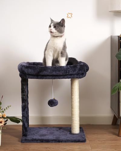 SYANDLVY Samll Cat Tree for Indoor Cats, Scratching Board Scratcher & Perch - Image 2