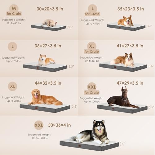 EHEYCIGA Orthopedic Dog Bed Large with Removable Washable Cover, 36IN Beige - Image 3