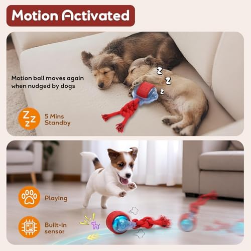 Dog Toys Interactive Rolling Ball with Rope, Motion-Activated - Image 4